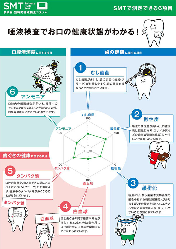 SMTで測定できる6項目