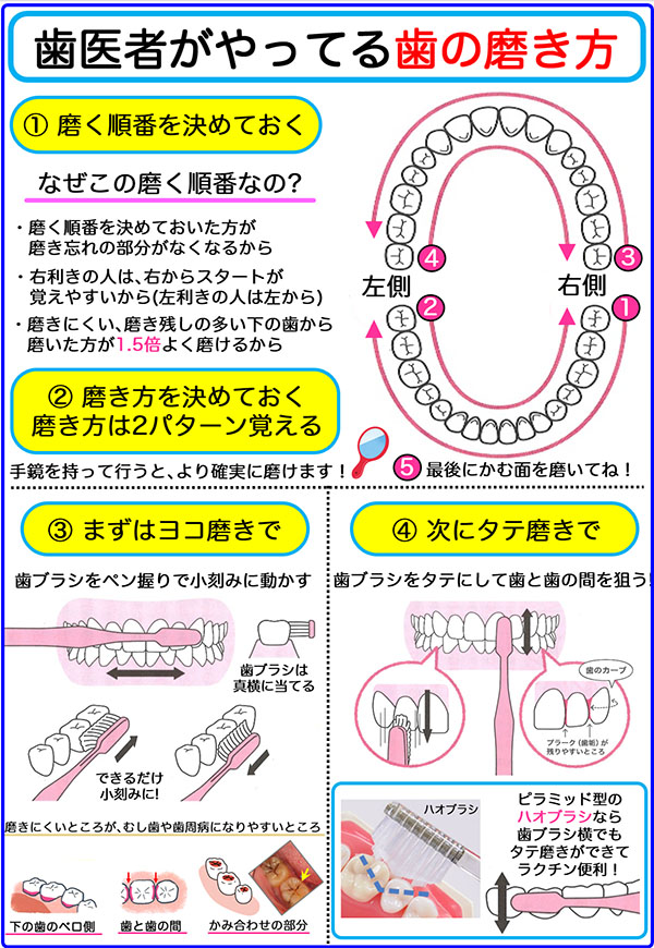 歯医者さんがやっている歯の磨き方