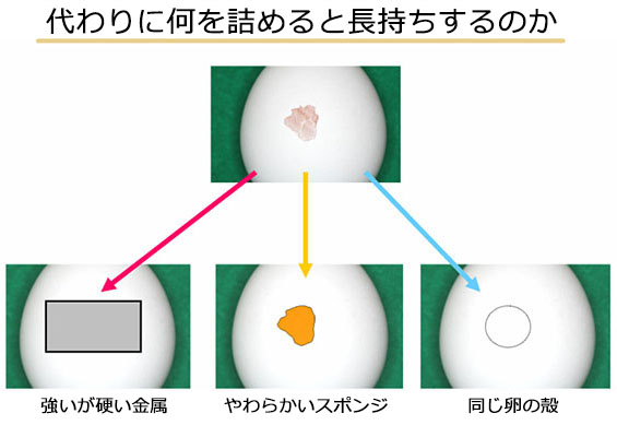 代わりに何を詰めると長持ちするのか