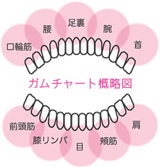 ガムチャート